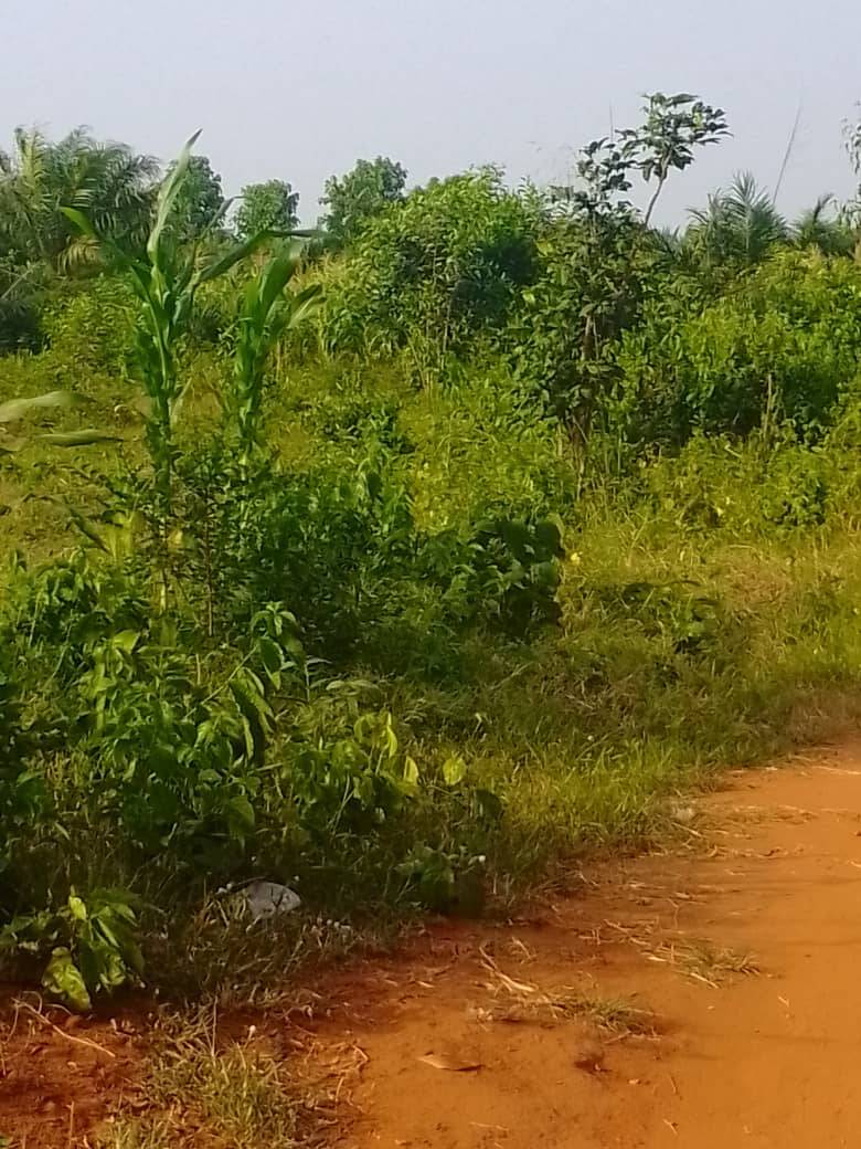Parcelles Résidentielles Akpakpa